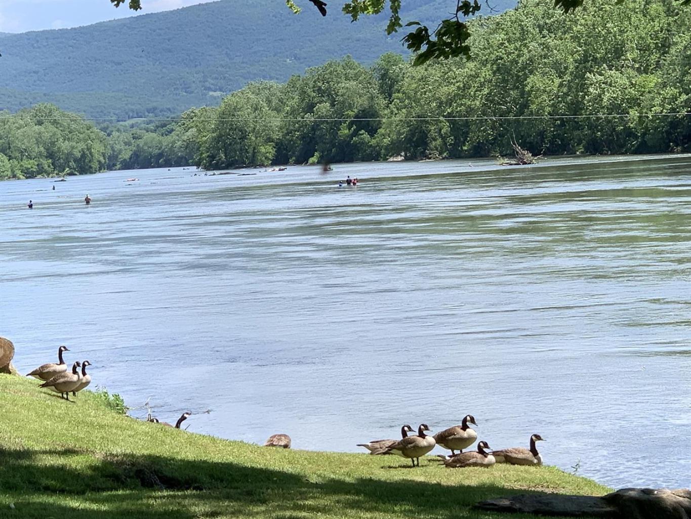 Bear Valley- Riverfront With Hot Tub! Luray Eksteriør bilde